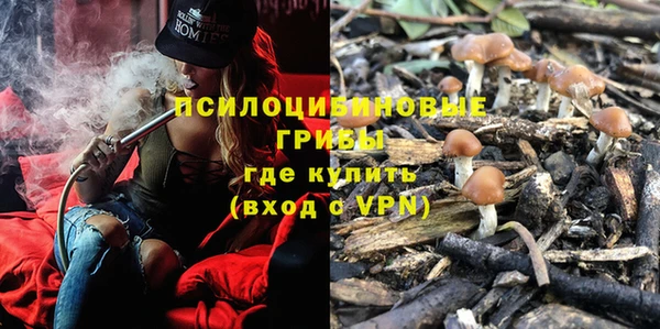 спайс Киренск